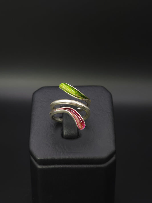 Anillo Doble