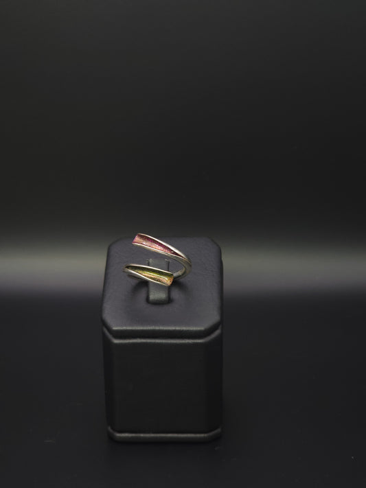 Anillo Hombre