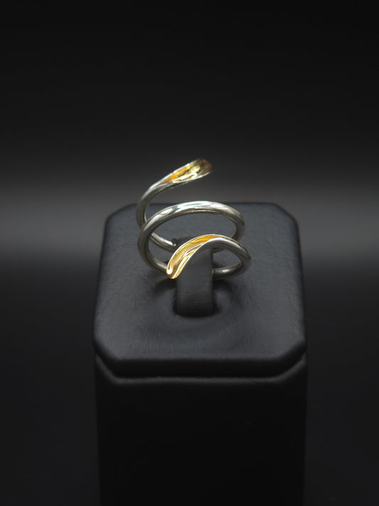 Anillo Doble