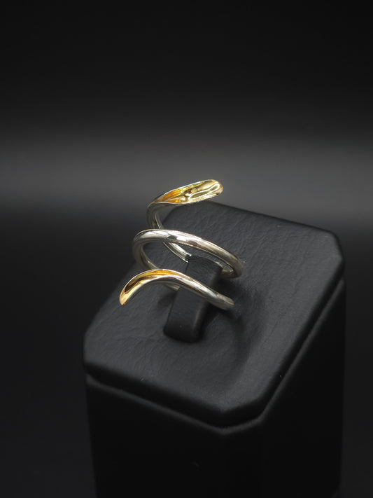 Anillo Doble